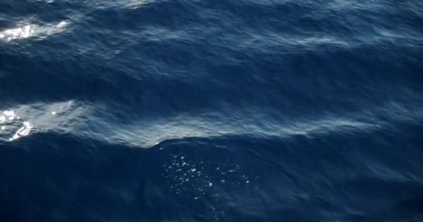 Deniz Dalgalı Suyun Üst Görüntüsü Mavi Yüzeyinde Dalgalanan Küçük Dalgalar — Stok video