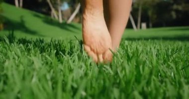 Çıplak ayaklar yeşil çimlerin üzerinde yürür. Çıplak ayaklı genç yaz güneşli bir günde çimlerde geziniyor..