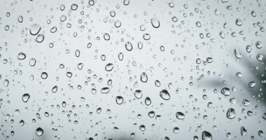 Palmiye ağacındaki ıslak pencereden bak. Bahar günü tropik yağmur. Yağmur damlaları bardaktan süzülür..