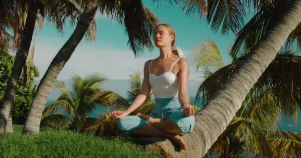 Žena Cvičí Jógu Dýchání Cvičení Tropické Zelené Parku Detailní Záběry — Stock video