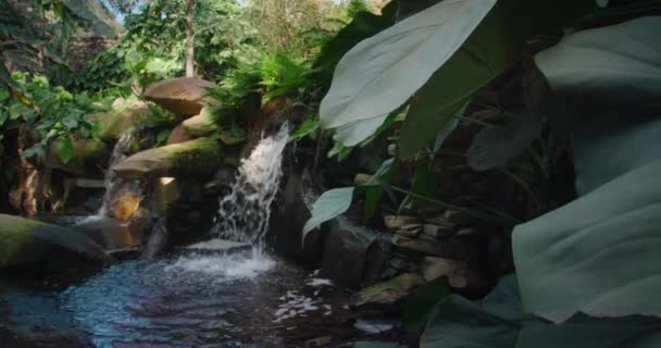 Waterval Junglewater Stroomt Stenen Het Groene Bos Tropisch Bergregenwoud Kleine — Stockvideo