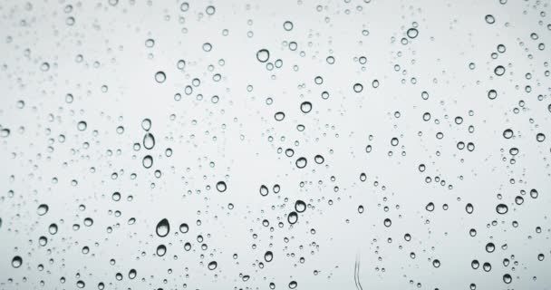 Vízcseppek Közelsége Üvegen Eső Cseppek Ablaküvegre Nyári Zápor Alatt Természetes — Stock videók