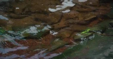 Sabunlu su yakın plan. Kanalizasyon temizliği. Lağım arıtma tesisi. Su hasarı.