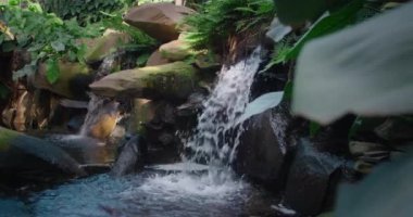 Kristal berrak suyu olan küçük bir dağ nehri. Su yeşil tropikal ormanlardaki taşların üzerinden akar. Sabah güneşi ağaçların arasından doğuyor. Yavaş çekim yakın çekim..