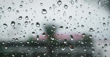 Pencerenin dışında yağmurlu bir hava var. Cama su damlaları konuyor. Sallanan palmiye ağaçları ile sokak manzarası. Muson mevsimi.