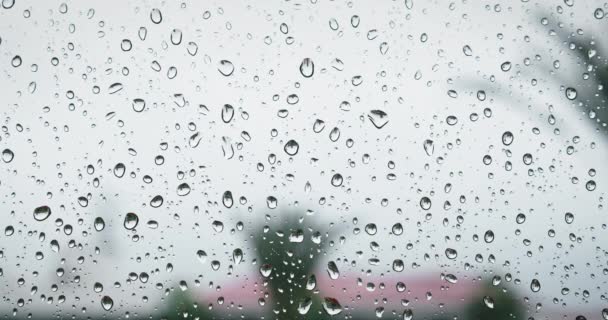 Esős Idő Kilátás Ablakból Összpontosítva Vízcseppek Üvegen Utcai Szürke Kilátás — Stock videók