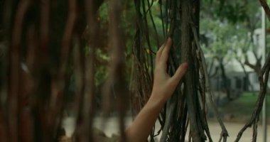 Yeşil tropikal yağmur ormanlarında asılı duran tuhaf ağaç köklerine dokunan kadınlar. Ormanda dolambaçlı yolculuk. Asya 'nın vahşi doğa egzotik bitkileri.