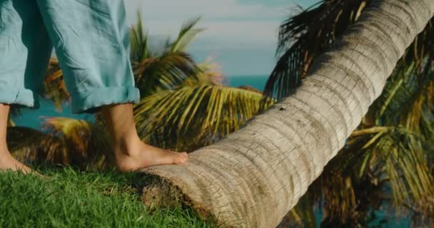 Barfota Flicka Går Palm Stam Tropisk Botanisk Trädgård Med Havsutsikt — Stockvideo