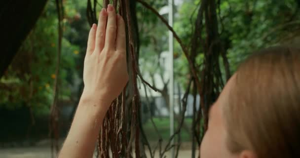 Ženy Ruku Dotýkají Visící Kořeny Stromů Popínavé Zelené Tropické Botanické — Stock video