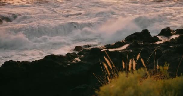 Witte Schuimige Oceaan Golven Breken Rotsachtige Strand Bij Gouden Zonsondergang — Stockvideo