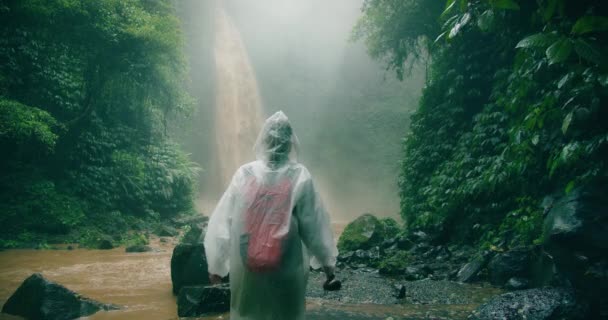 Mulher Viajante Capa Chuva Desfrutando Floresta Tropical Olhando Para Poderosa — Vídeo de Stock