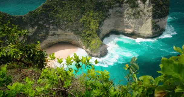 Kelingking Beach Nusa Penida Indonesia Amazing Ocean Landscape Green Cliff — Stock Video