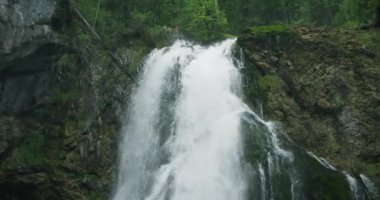 Gollinger Şelalesi 'nde berrak su köpüğü ve yağmurlu bir günde sıçrama. Dağ nehri Avusturya 'daki ormanda akar. Salzburg Avusturya 'da Wasserfall.