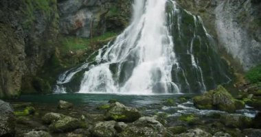 Dağ nehri yamaçtan aşağı akıyor. Temiz su köpüğü ve yeşil yosunlarla kaplanmış kaya parçaları. Gollinger Wasserfall, Salzburg Avusturya.