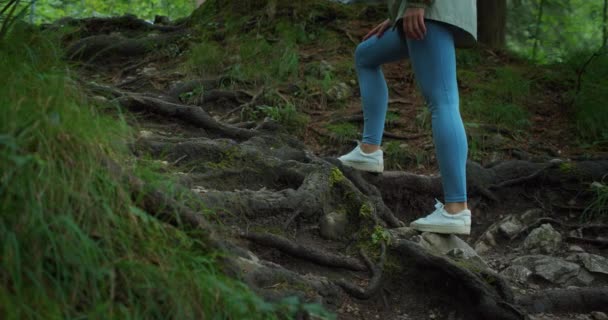 Femme Grimpe Chemin Dans Forêt Menant Une Cascade Vue Arrière — Video