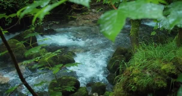 Río Que Fluye Entre Las Orillas Rocosas Naturaleza Arroyo Chorreando — Vídeos de Stock