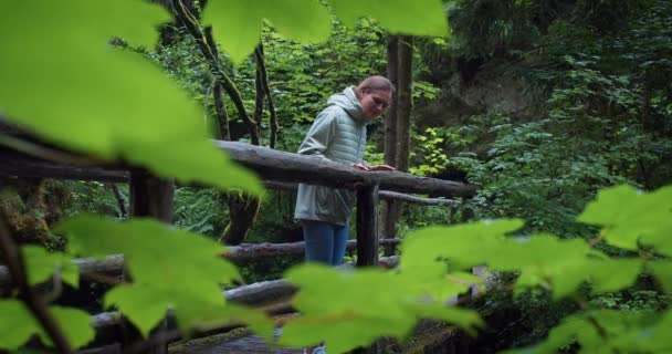 Femme Debout Sur Pont Bois Par Temps Pluvieux Dans Forêt — Video