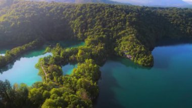 Dağ gölü ve sık orman manzaraları yaz ayından sonbahar güneşli sabahına kadar. Pırıl pırıl taze turkuaz su. Plitvice Lakes Ulusal Parkı Hırvatistan.