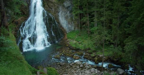 Gollingův Vodopád Jehličnatém Lese Rakousku — Stock video