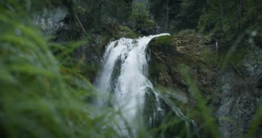Ulusal parktaki köprüde yüksek su birikintisi üzerinde yürüyüş yapan bir çift. Kadın ve erkek ormandaki dağ nehrinin tadını çıkarırlar. Vahşi doğada yolculuk tutkusu macerası.