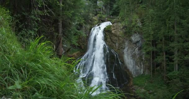 Vodopád Kaskády Přes Mechem Porostlé Horské Skály Alpách Gollinger Wasserfall — Stock video