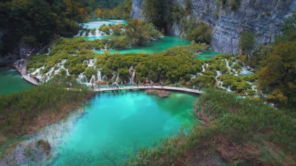 Incredibile Vista Ponte Legno Stretto Acqua Cristallina Smeraldo Del Lago — Video Stock