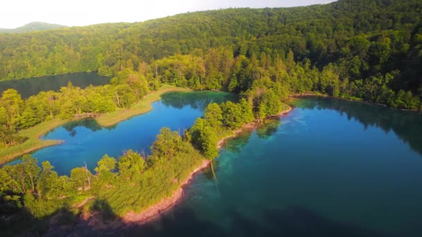 Temiz Masmavi Suyu Dağlık Ormanı Olan Dağ Gölü Yazın Sıcak — Stok video