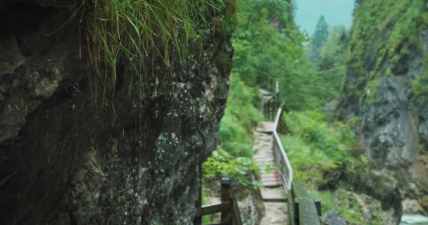 Corriente Montaña Con Caudales Agua Dulce Dark Gorge Austria Antecedentes — Vídeos de Stock