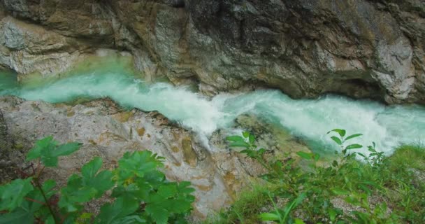 Berg Flod Med Kristallklart Vatten Rinner Lammer Gorge Österrike Alpint — Stockvideo