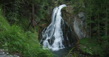 Alplerdeki yosunlu dağ kayalarının üzerinden çağlayan şelale. Gollinger Wasserfall, Salzburg, Avusturya yakınlarında. Yeşil ormandaki sersemletici akarsu manzarası. Yağmurlu gün.