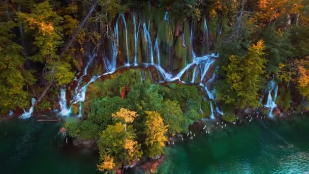 Cascata Nella Foresta Autunnale Con Alberi Colorati Acqua Dolce Verde — Video Stock