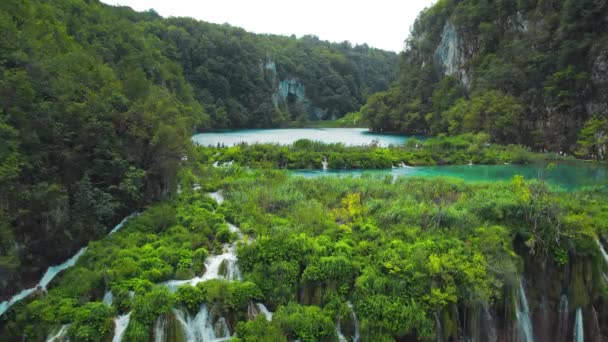 プリトヴィス湖のエメラルドグリーンウォーターは 自然に炭酸カルシウムで上昇しています クロアチア最大の国立公園 滝と川が自然のプールに流れ込む — ストック動画