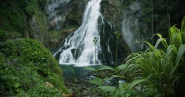 Alplerdeki yosunlu dağ kayalarının üzerinden çağlayan şelale. Gollinger Wasserfall Salzburg, Avusturya yakınlarında.