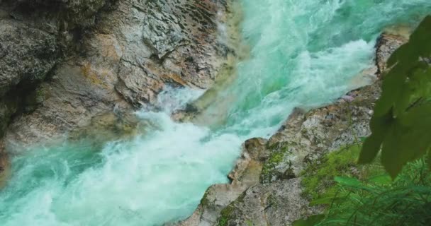 Rio Montanha Com Fluxos Água Cristalina Lammer Gorge Áustria Paisagem — Vídeo de Stock