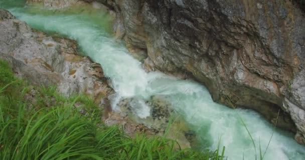 Agua Cristalina Color Turquesa Fresca Del Río Montaña Fluye Entre — Vídeos de Stock