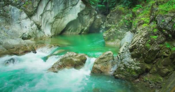 山に流れる川の水 夏の自然の中で小さな滝が飛び散っています 川岸近くで流れ落ちる水の流れをゆっくりと閉じる — ストック動画