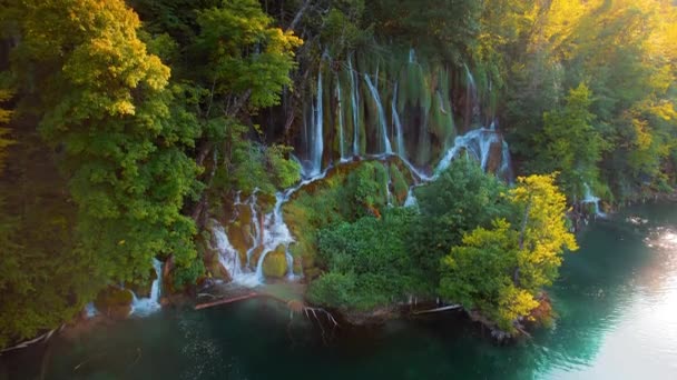 Cascade Dans Forêt Automne Avec Des Arbres Colorés Vert Émeraude — Video