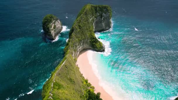 Tropical Forest Ocean Coastline Pristine Sandy Beach Azure Ocean Waves — Stock Video