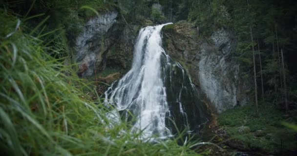 Сценический Водопад Gollinger Серфингист Австрии Зеленая Трава Каплями Дождя Природный — стоковое видео