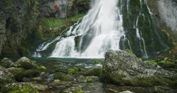 Водопад Голлинджера Лесу Австрии Быстрый Горный Ручей Сосновом Лесу Зеленая — стоковое видео