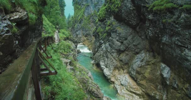 Horská Řeka Křišťálově Čistou Vodou Teče Lammer Gorge Austria Alpská — Stock video