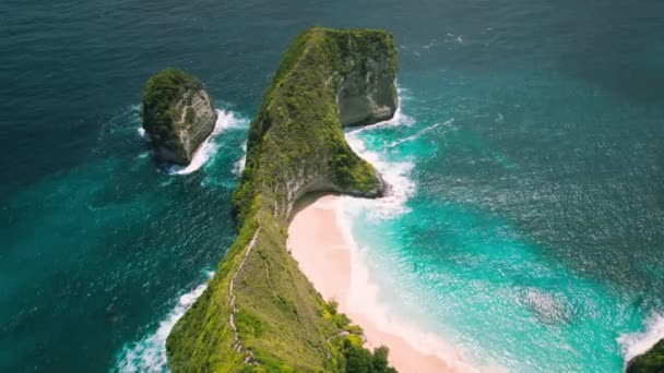 Okyanus Kıyısındaki Tropik Orman Değmemiş Kumsal Gök Mavisi Okyanus Dalgaları — Stok video