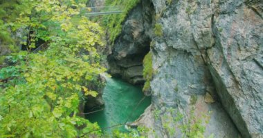 Avusturya dağlarına sağanak yağış. Temiz su ile tam akan Lammer nehri. Koyu Gorge Lammerklamm 'da yeşil çimenler ve vahşi dere manzarası.