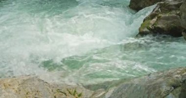 Buzlu temiz suyu olan soğuk dağ nehri kayalık bir vadide akar. Alplerdeki bahar doğa manzarası. Avusturya 'da Lammerklamm.