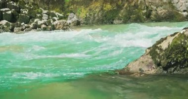 Buzlu temiz suyu olan soğuk dağ nehri kayalık bir vadide akar. Alplerdeki bahar doğa manzarası. Avusturya 'da Lammerklamm.