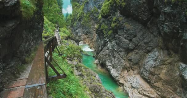 Gebirgsfluss Mit Kristallklarem Wasser Fließt Der Lammerschlucht Österreich Alpine Landschaft — Stockvideo