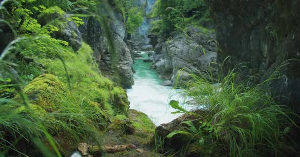Fluss Mit Klarem Wasser Den Bergen Waldnatur Dunkler Schlucht Lammerklamm — Stockvideo