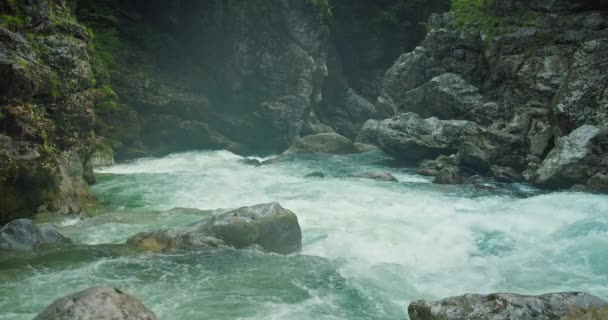 岩のゴージャスな透明な水で冷たい山の川の上の蒸発 春の自然景観 オーストリアのラマークラム — ストック動画