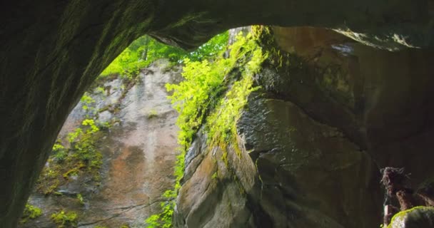 Dark Gorge Med Vackra Branta Klippor Österrike Turistobservationspunkt Nedifrån Och — Stockvideo