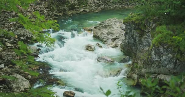 Kristallklares Blaues Süßwasser Des Gebirgsflusses Fließt Den Sommerwald Die Schönheit — Stockvideo